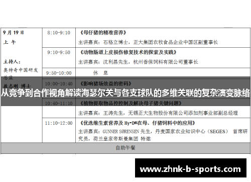 从竞争到合作视角解读海瑟尔关与各支球队的多维关联的复杂演变脉络 从竞争到合作视角解读海瑟尔关与各支球队的多维关联的复杂演变脉络